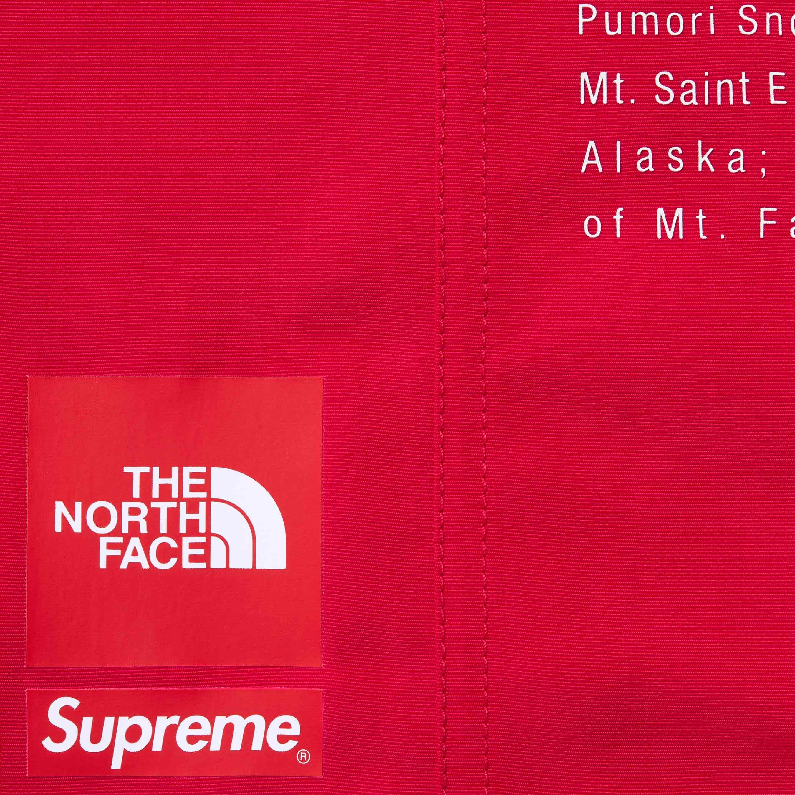 Supreme®/The North Face® Nylon Short view 7